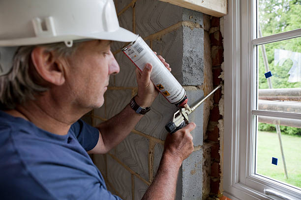 Eco-Friendly or Green Insulation Solutions in Wilkinson Heights, SC