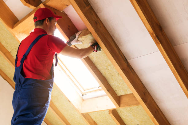 Best Batt and Roll Insulation  in Wilkinson Heights, SC